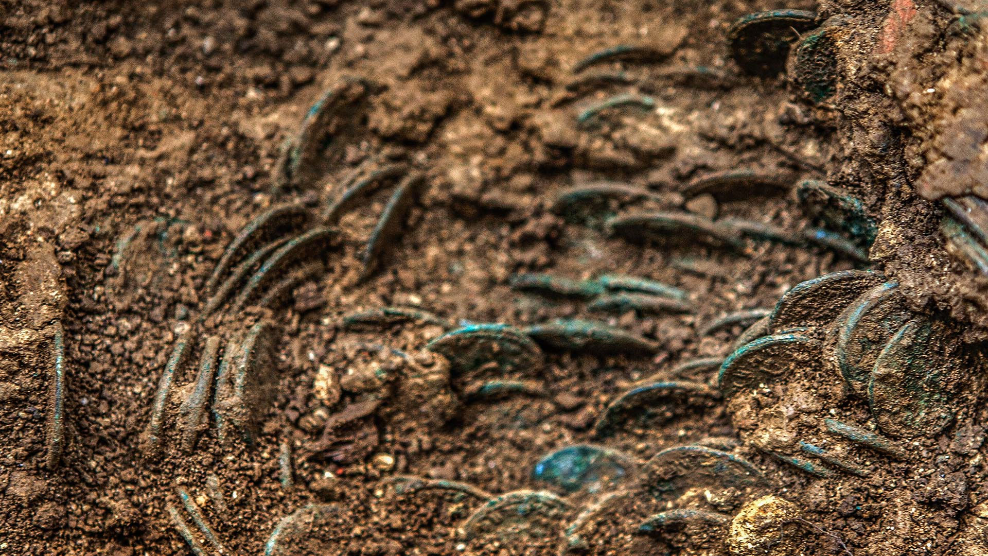 Teile des Münzschatzes von Ueken bei der Entdeckung. Mindestens ein Teil der Münzen wurde offenbar in Säcken aus Stoff oder Leder in der Erde vergraben. Photo credits: © 2016 Kanton Aargau (Foto: Urs Lang).