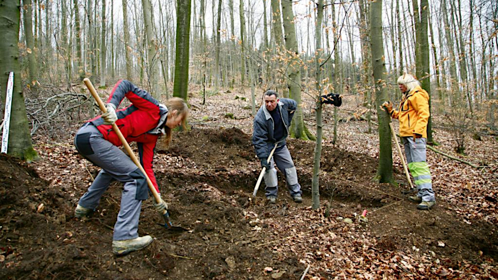 Füllinsdorf, Büechlihau, Grabungen