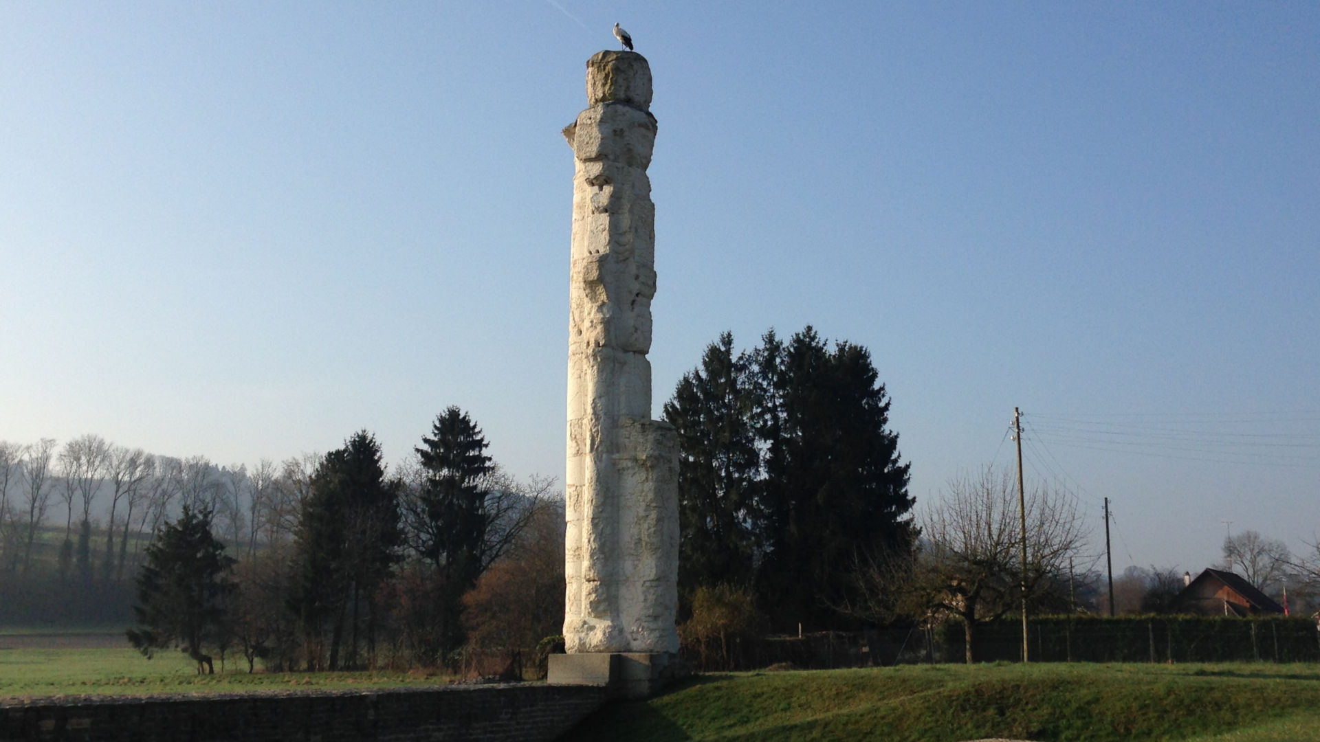 Avenches, colonne du temple du Cigognier et son hôte éponyme